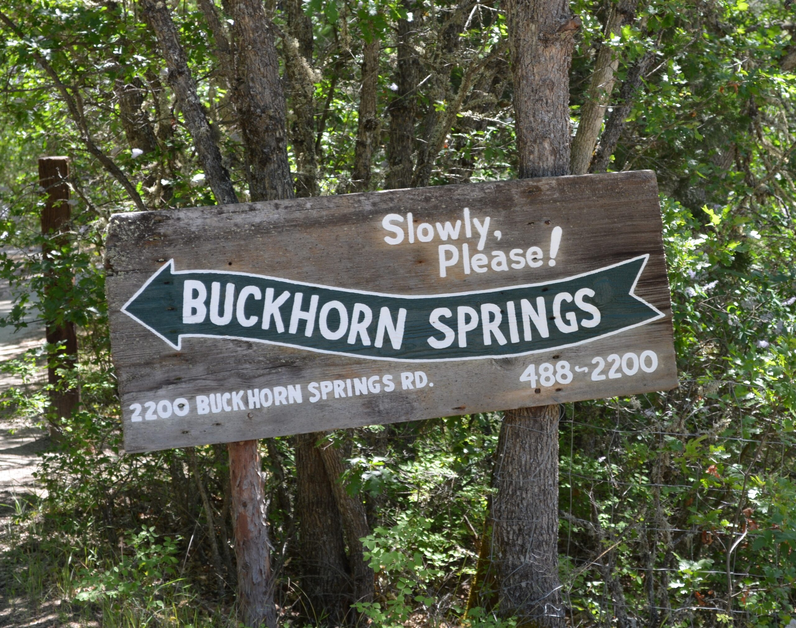 Buckhorn Mineral Springs
